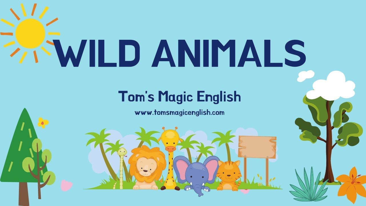 Wild Animals Talking Flashcards with Tom's Magic English