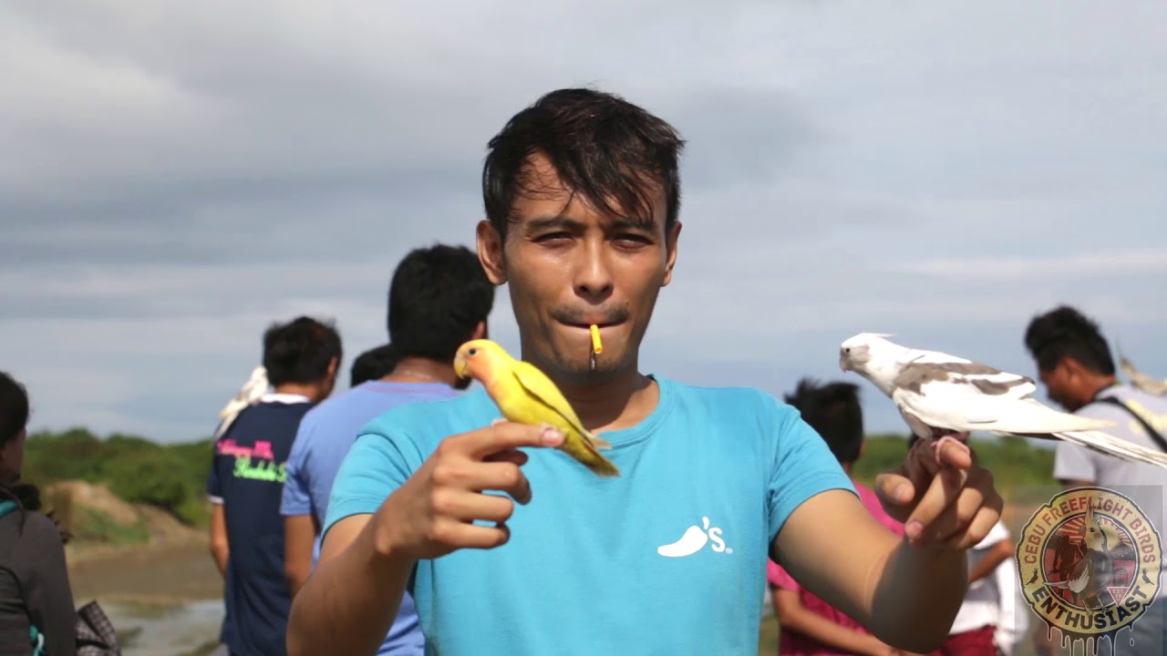 CEBU FREE FLIGHT BIRDS ENTHUSIAST (CFFBE)