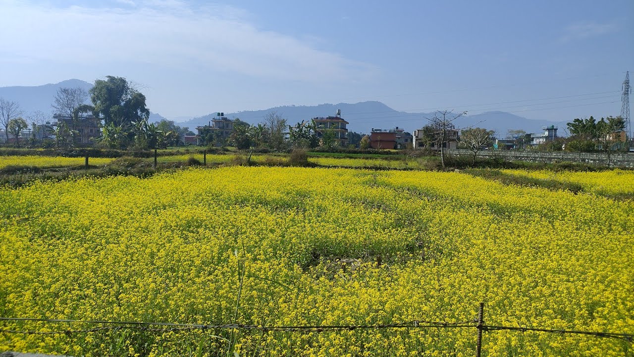 Natural Beautiful Nepal  | | In My Home Town |
