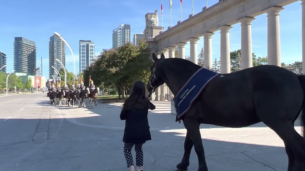 Official 2022 Royal Ambassador Winston - Welcomed back to the City
