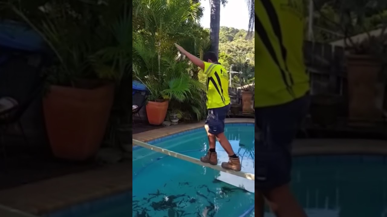 Brutal fails. #failsvideo #failsvids #funnyvideos #funny #failsclip #funnyfails #memes #failsfieast