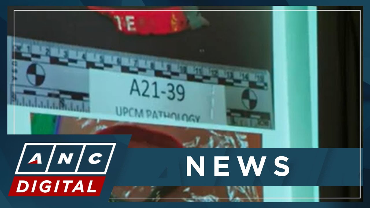 Fortun sees 'inconsistencies' in Kian delos Santos' official autopsy | ANC