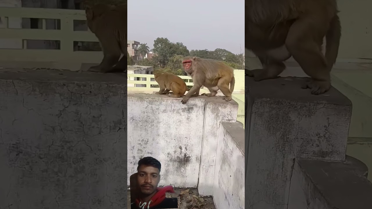 #funny