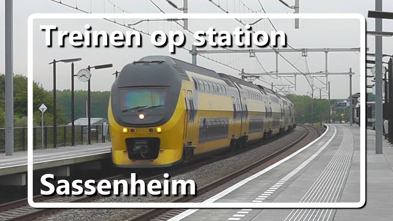 Treinen op station Sassenheim