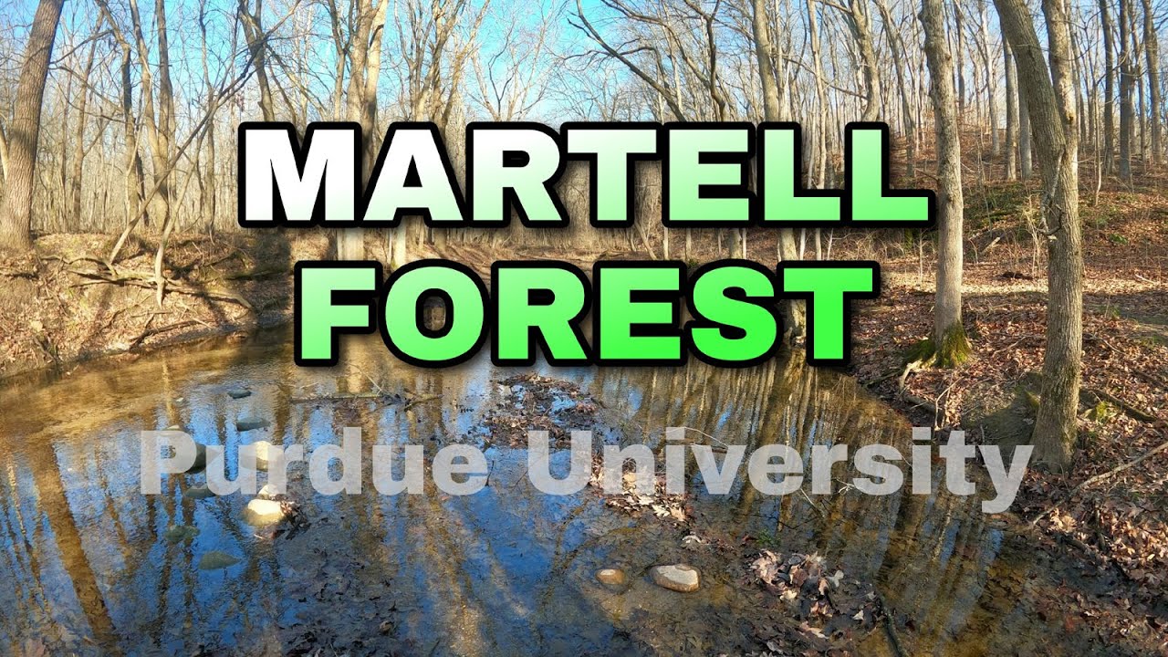 Purdue's Martell Forest | Indiana Hidden Gem