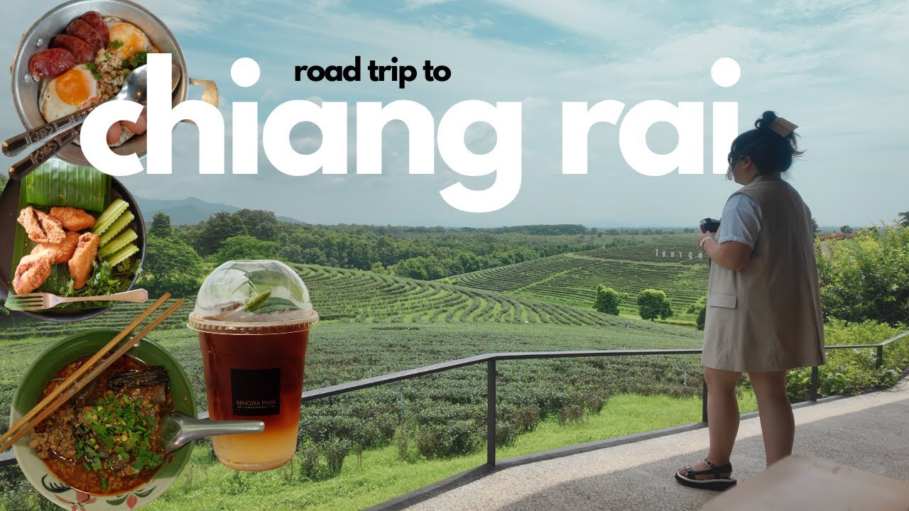chiang rai vlog 🍵 | singha park, choui fong tea, roadtripping w/ family