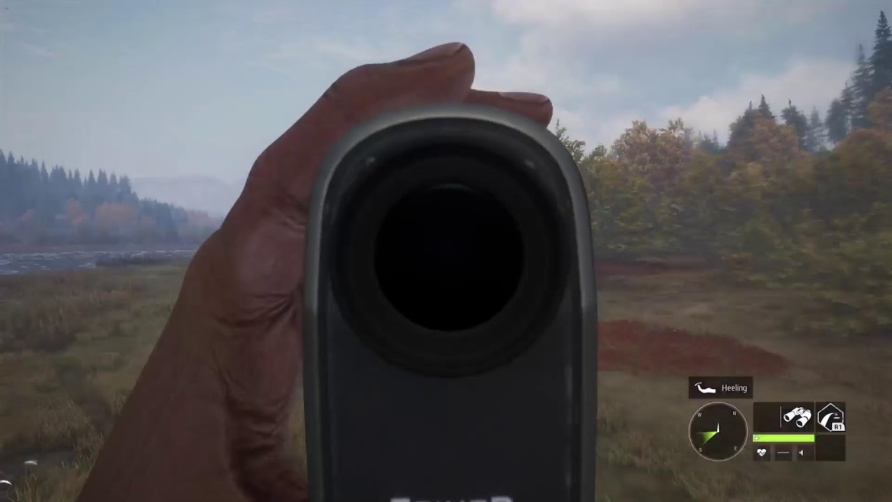 COTW