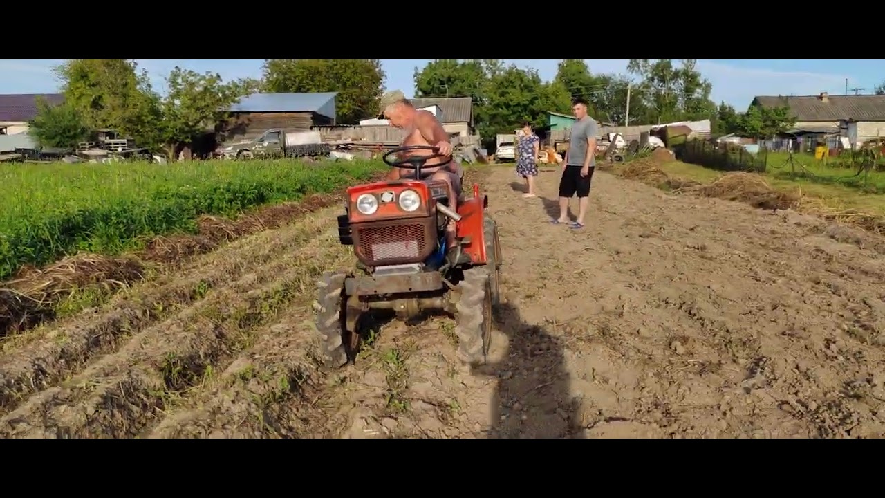 Yanmar YM 1300 подкапывание картофеля август 