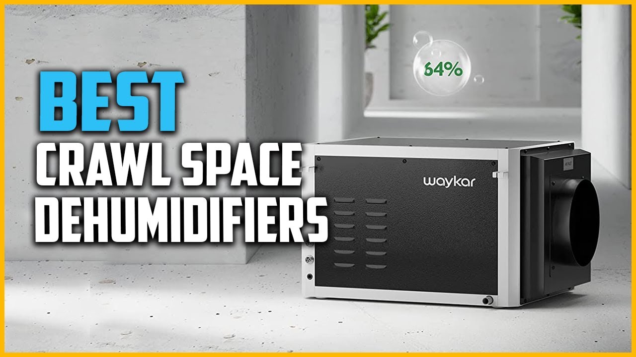 The 5 Best Crawl Space Dehumidifiers in 2022 Reviews