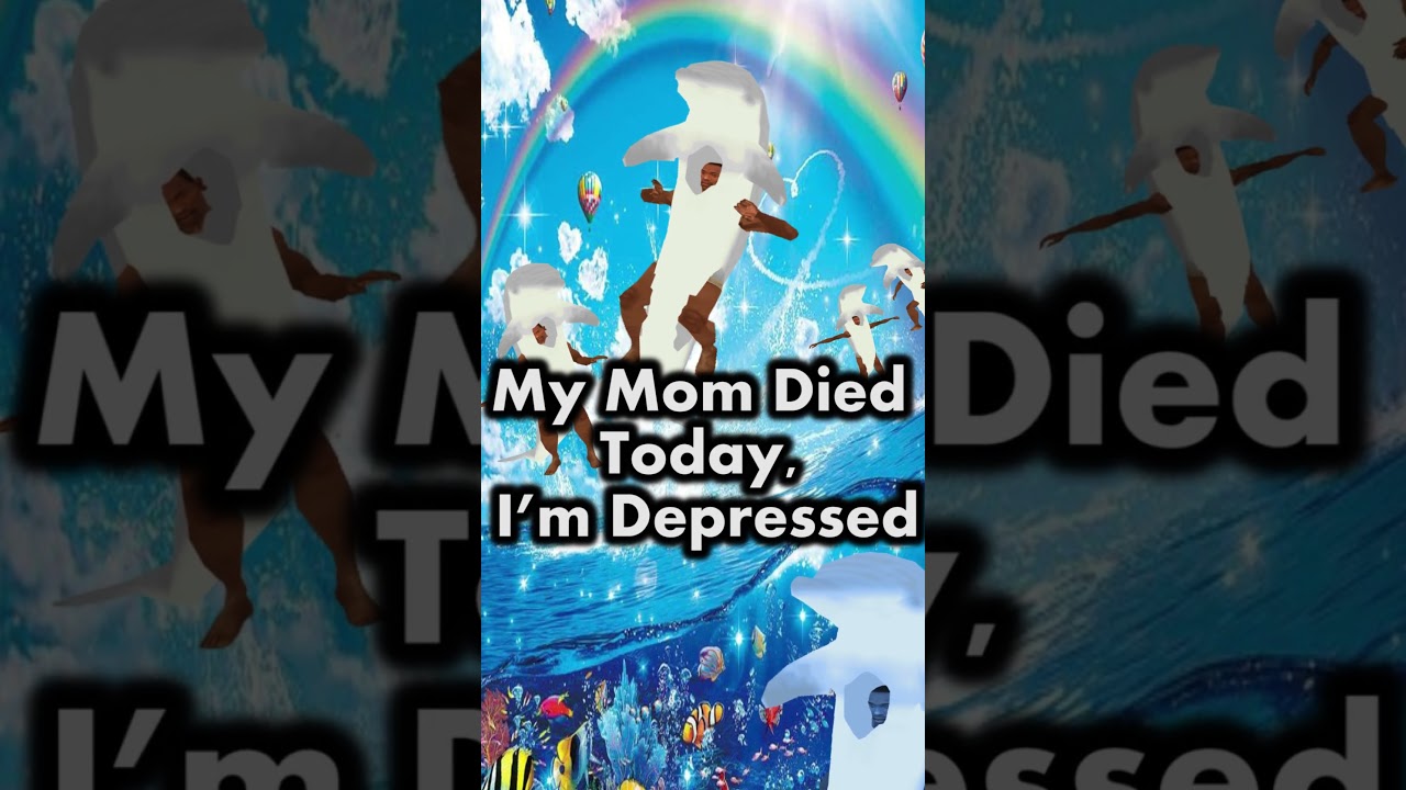 Symphony Dolphin CJ