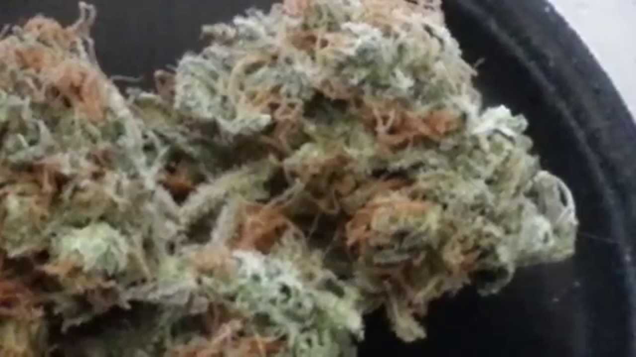 Strain review: agent Orange