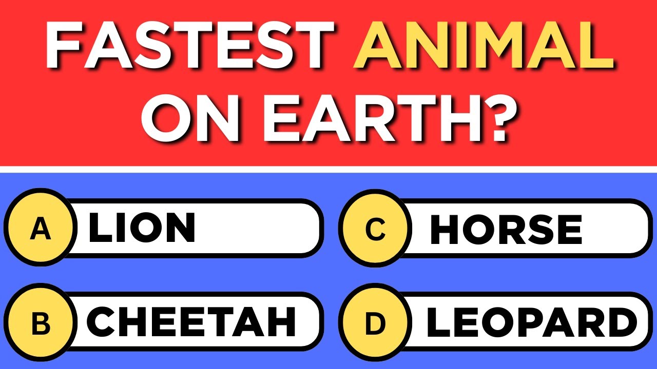 Only Geniuses Can Score 30/30 On This General Knowledge Quiz