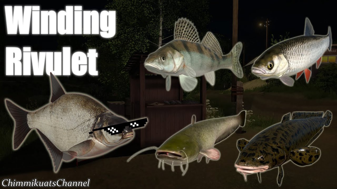 Russian Fishing 4: Baby Catfish day! [Winding Rivulet Abundant Spot]