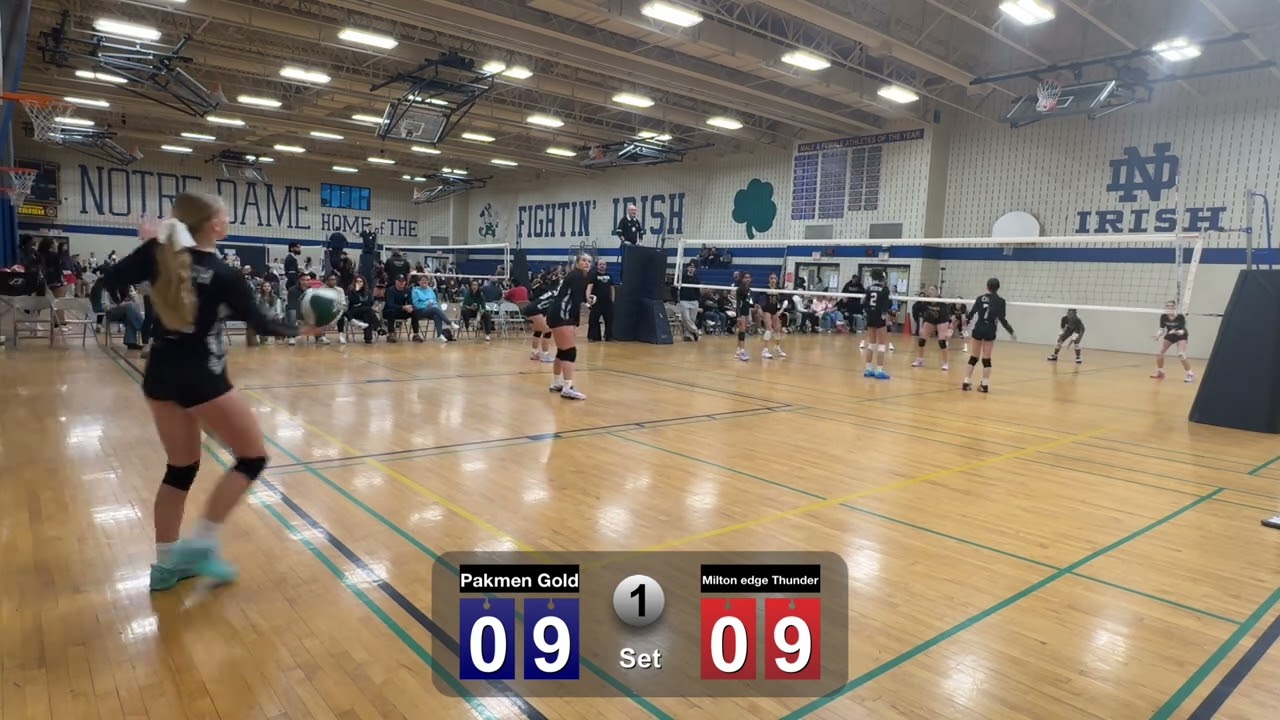 6v6 OVA vs Pakmen Gold Andrea