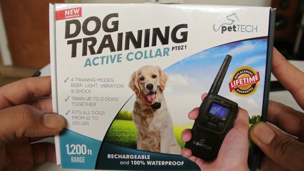 PETTECH TRAINING COLLAR