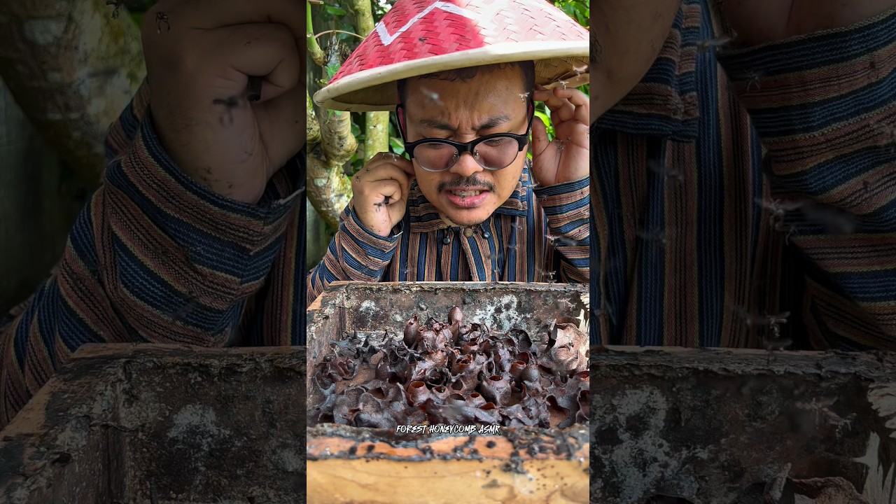 ASMR Drinking Wild Stingless Bee Honey Pots - 14 🍯🐝 #shorts