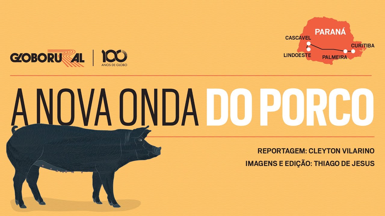 Suinocultores do Paraná investem no porco moura