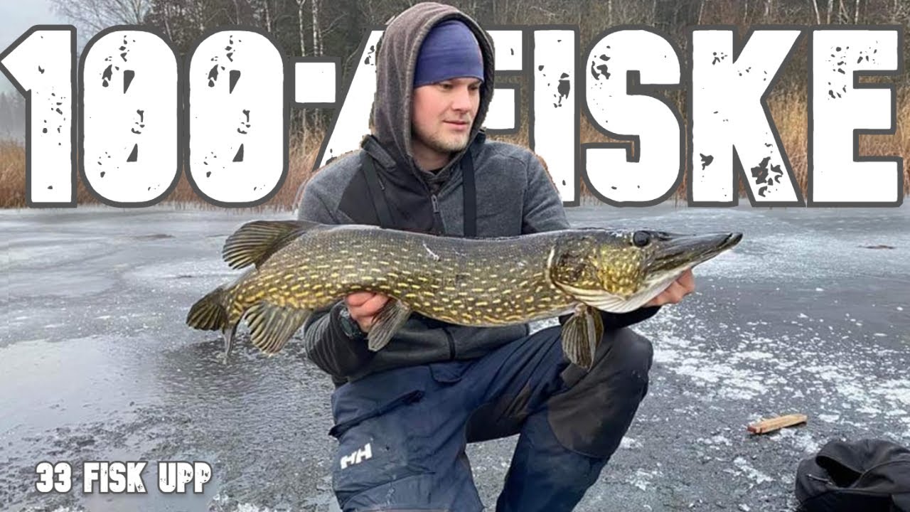 Galet ismetepass [ 100%Fiske ]