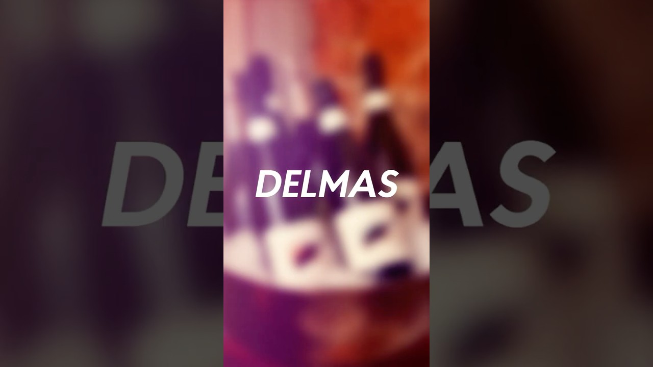 Визит винодела Domaine Delmas