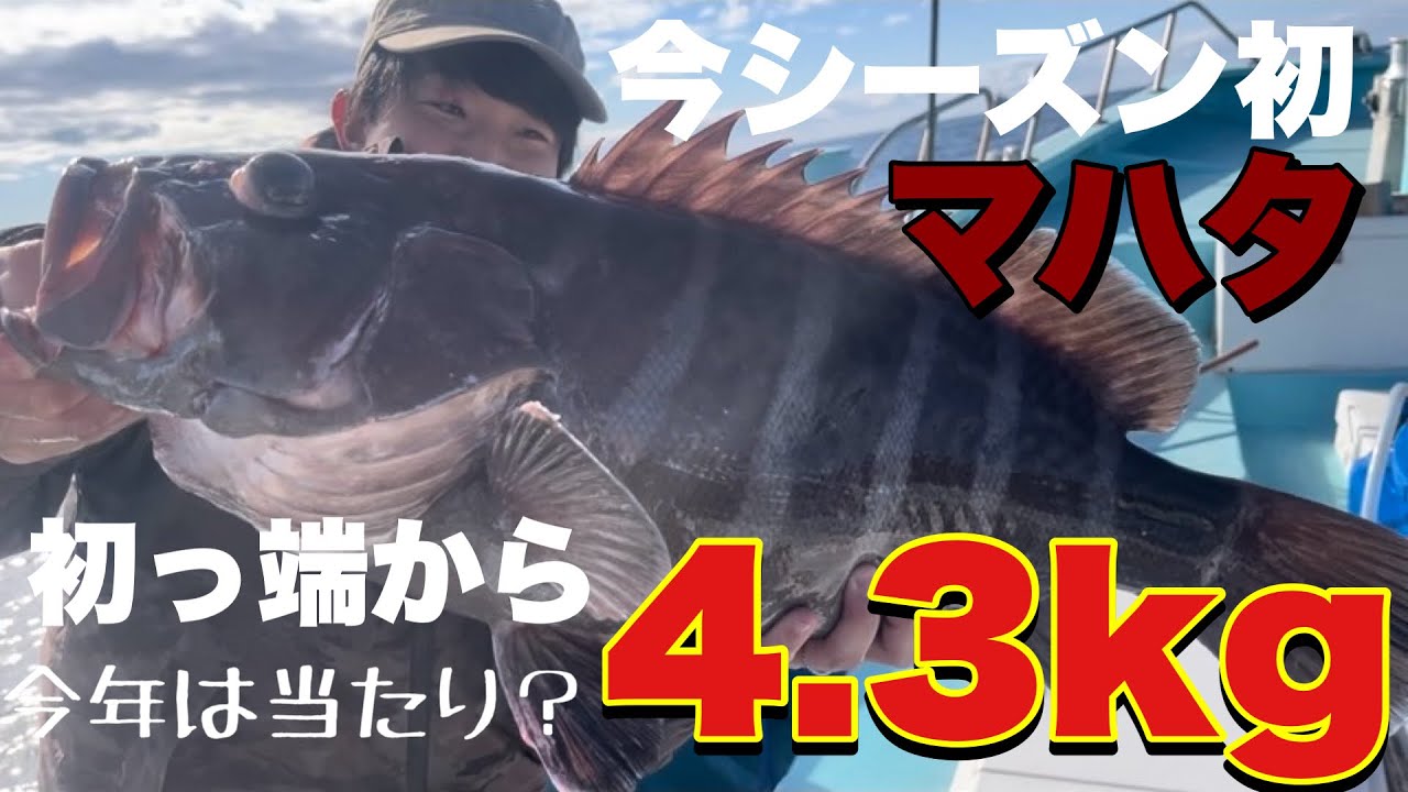 【小林さんが行く！第42話】今年もマハタ絶好調スタート！初っ端から４.3kg登場！釣り方解説付き！