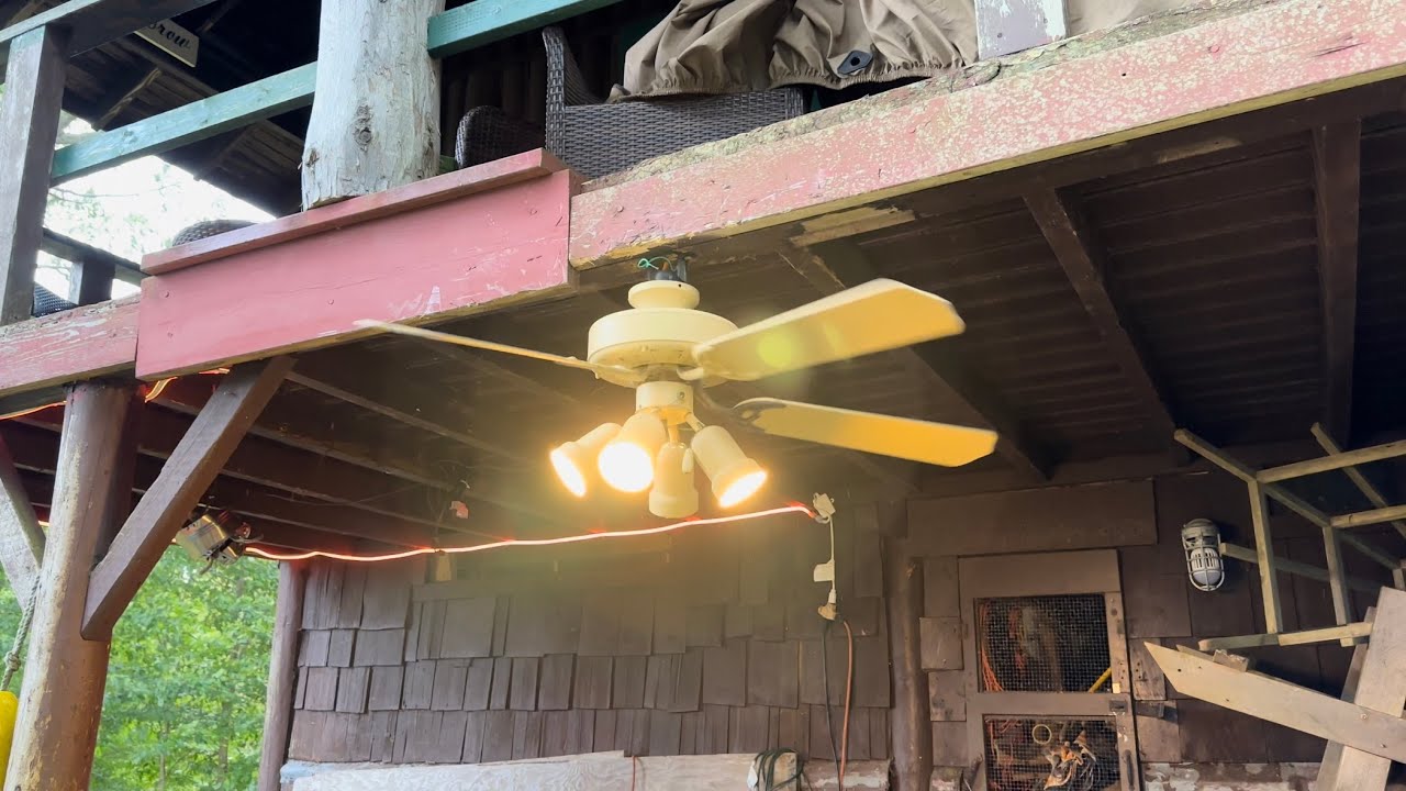 Ceiling Fan Destruction #61
