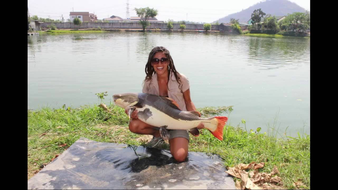 Catching river monsters in Thailand!