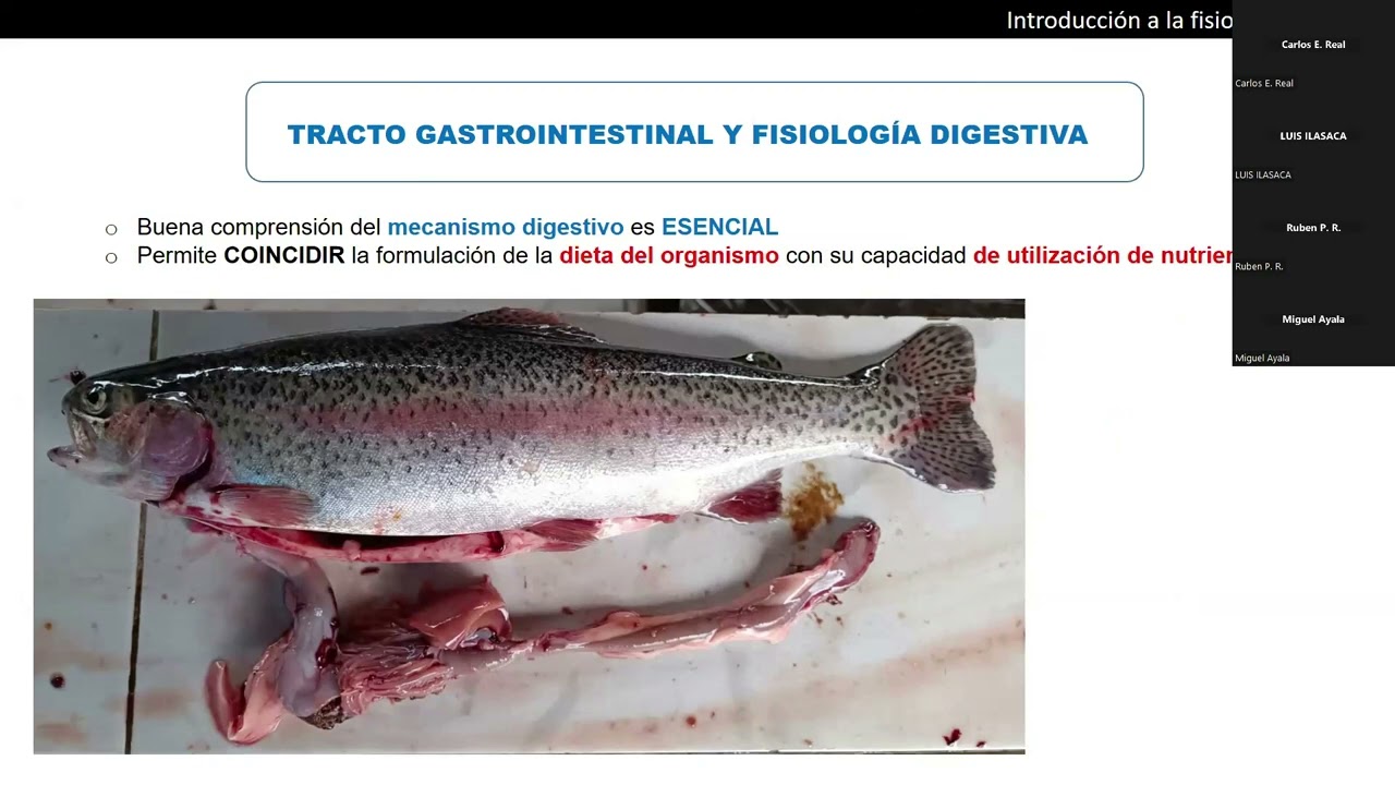 Curso 1 - Módulo III: Formulación de dietas eficientes para peces comerciales