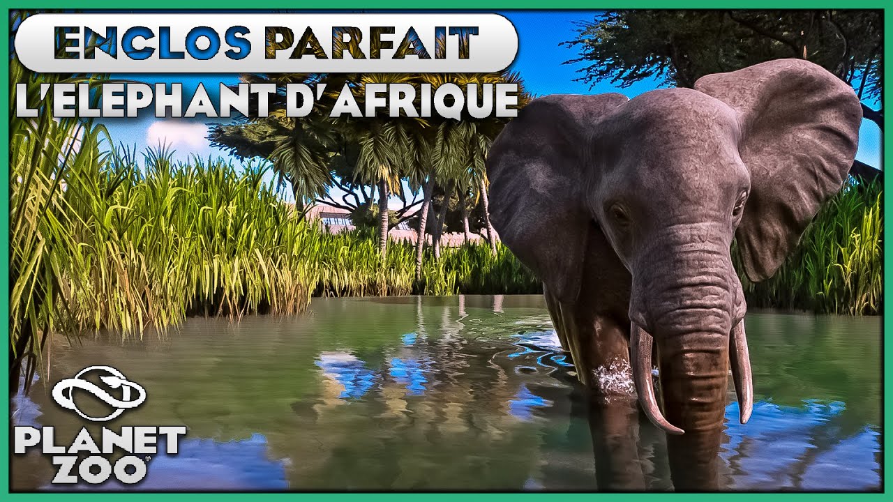 Les Éléphants d'Afrique | LES ENCLOS PARFAITS : EPISODE 17 | PLANET ZOO