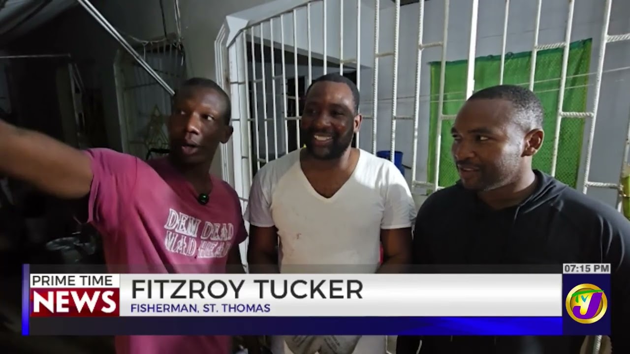 Fisherman's Jackpot: 263 Pound Fish Caught In Nine Mile, Bull Bay | TVJ News