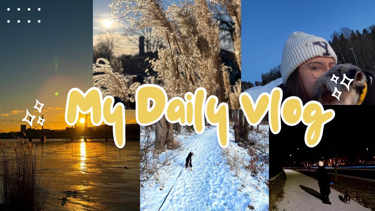 Slow living in Sweden | grocery shopping, cooking & sunset | silent vlog  #silentvlog#lifeinsweden