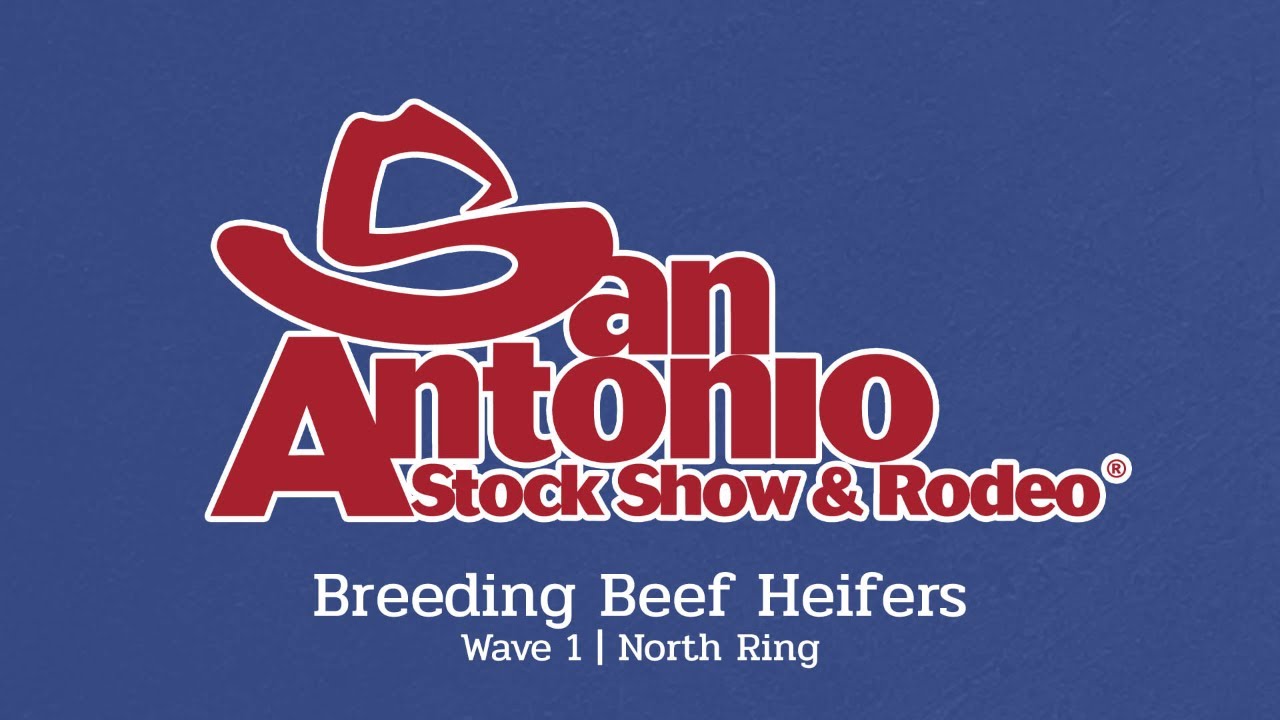 Breeding Heifers | Wave 1 - North - San Antonio Stock Show 2026