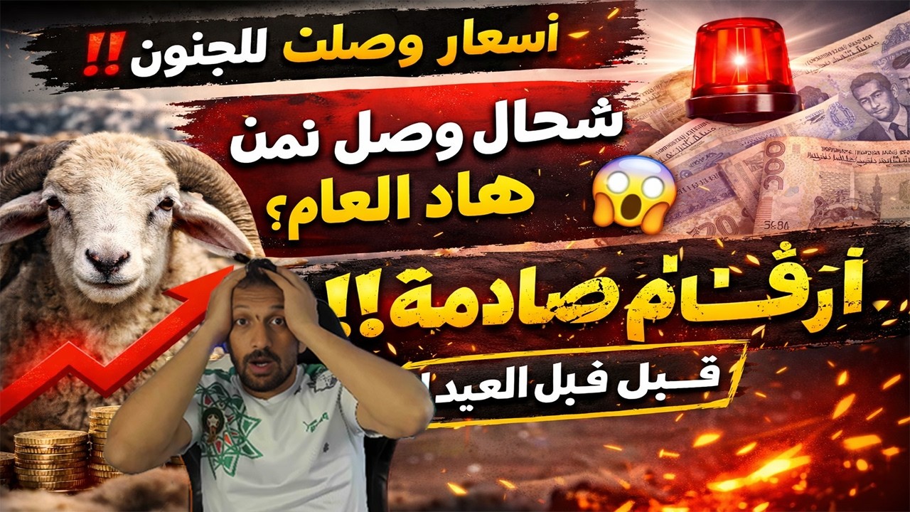 🚨 واش هادشي بصح؟ ثمن الخروف قبل العيد يشعل مواقع التواصل!