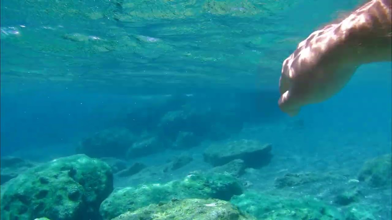 snorkeling Kakkos Beach - Koutsounari