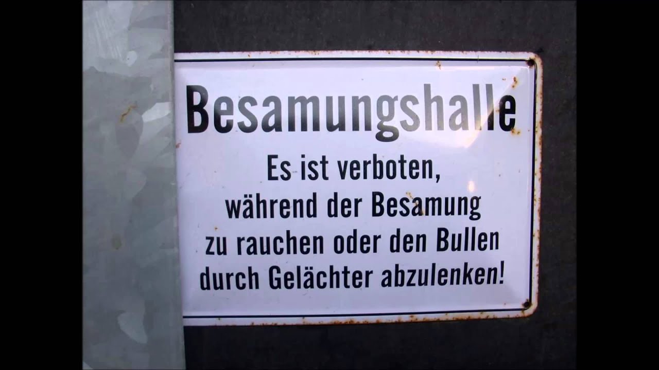 Die 13 Besten Bilder   Aktion Lustiges Foto 2014 | Verstehen Sie Spa&szlig;? Fanseite