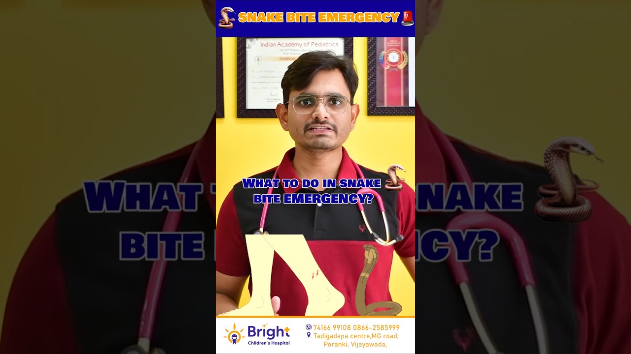 Snake bite? Emergency care, must know for everyone, what to do? what not to do? #snakebite #telugu