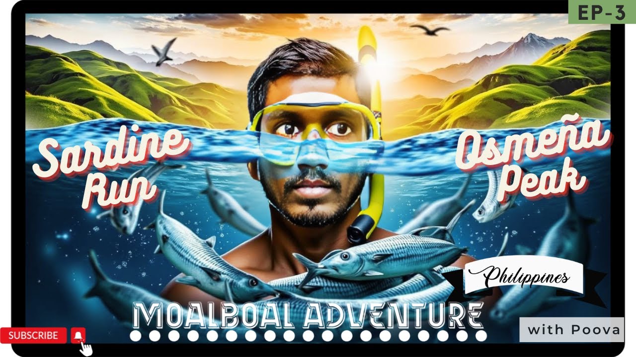 Millions of Fish 🐟 பாக்கானுமா.? || Moalboal ரகசியம் 🌊 || Philippines in தமிழ் || EP - 3