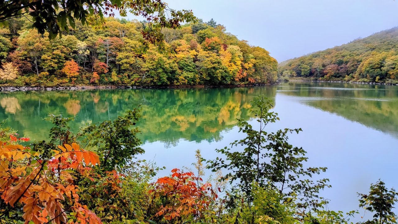 [4K HDR] Autumn colors in Shiga kogen (志賀高原の紅葉) #shigakogen #志賀高原 #autumncolors
