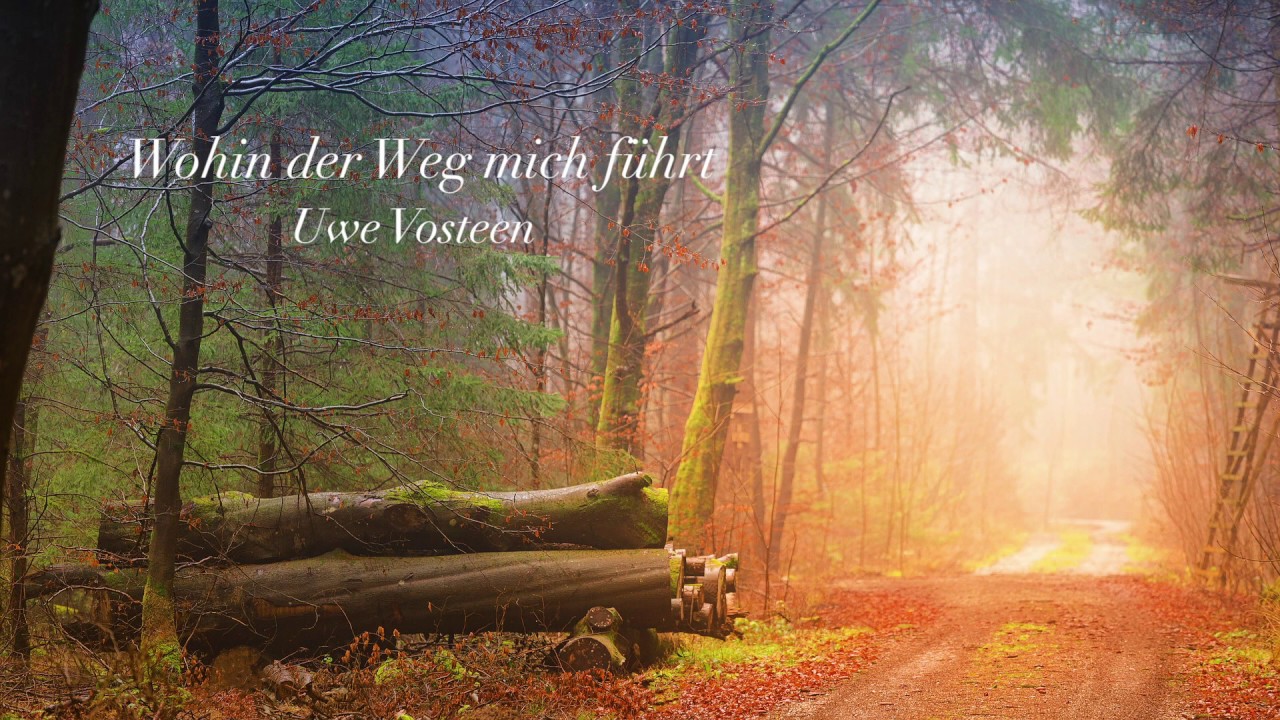 Uwe Vosteen - Wohin der Weg mich führt