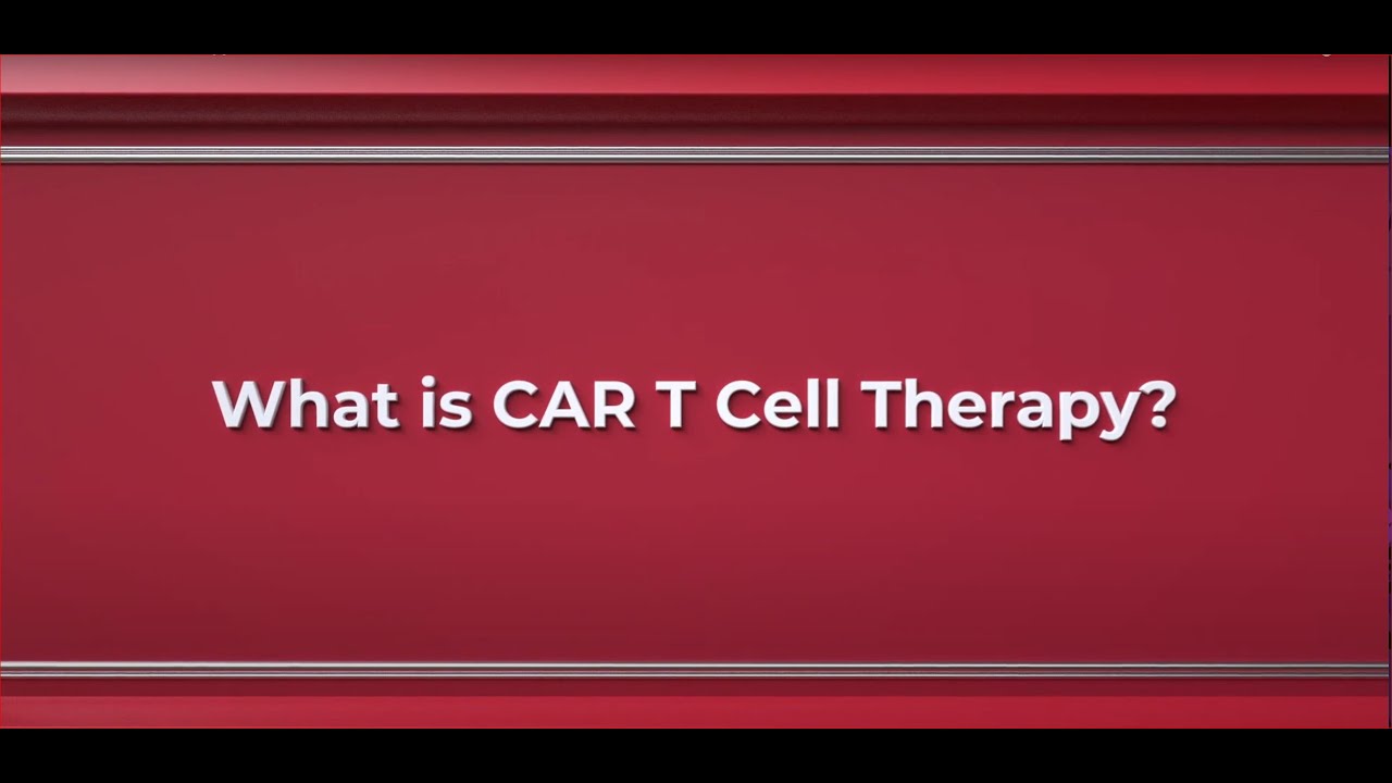 What is CAR T Cell Therapy?