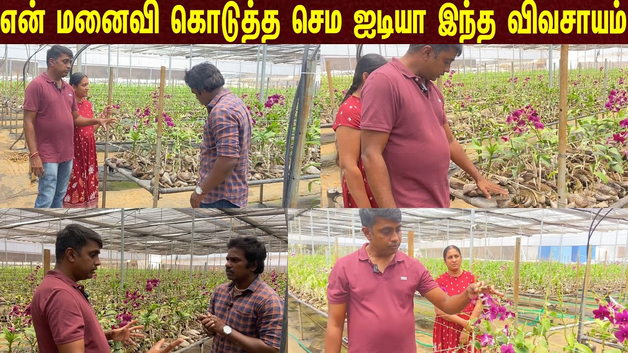 10 ஏக்கரில் எடுக்கும் லாபத்தை  ஒரே ஏக்கரில் தரும் பயிர் /yields the same profit as 10 acres