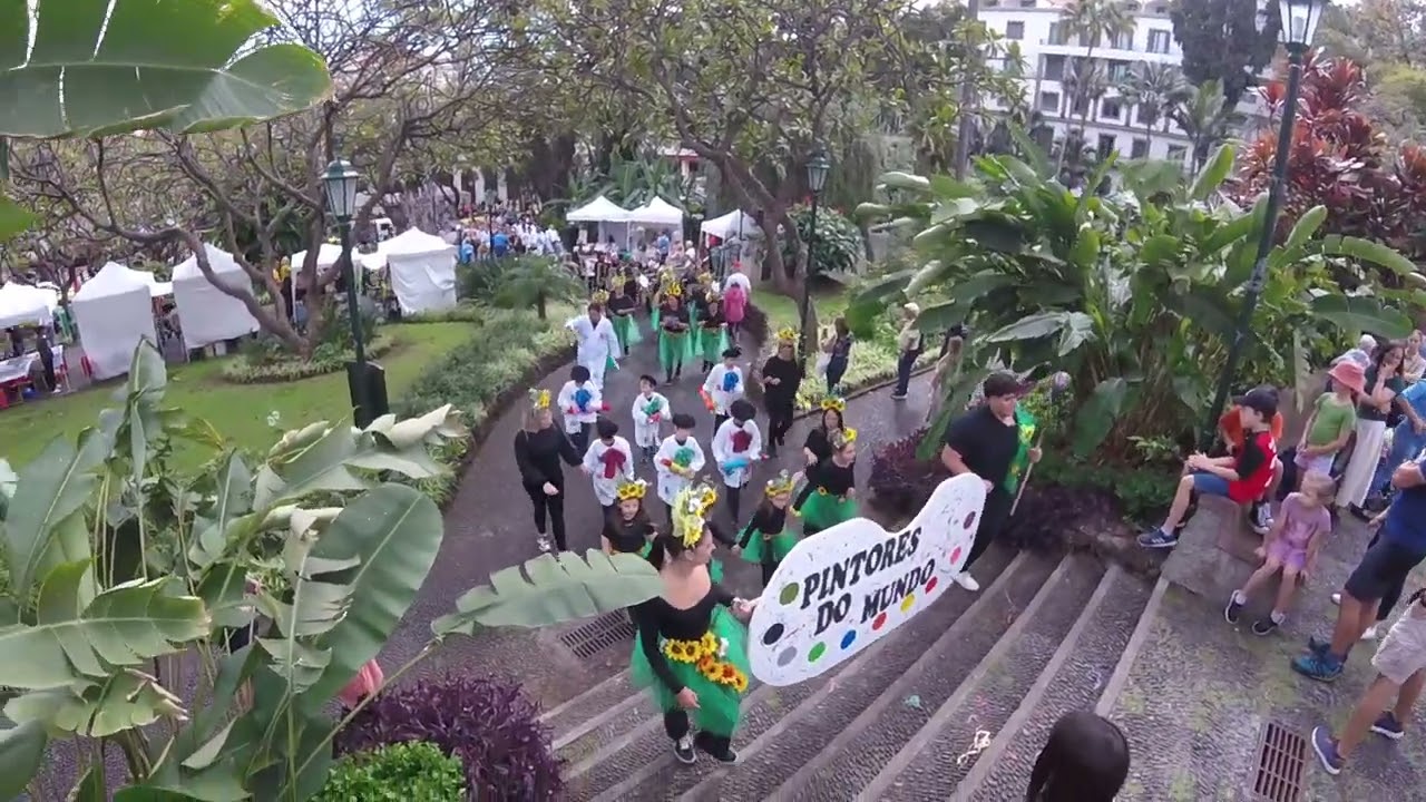 Carnaval Solid&aacute;rio Funchal  Madeira 2025   2