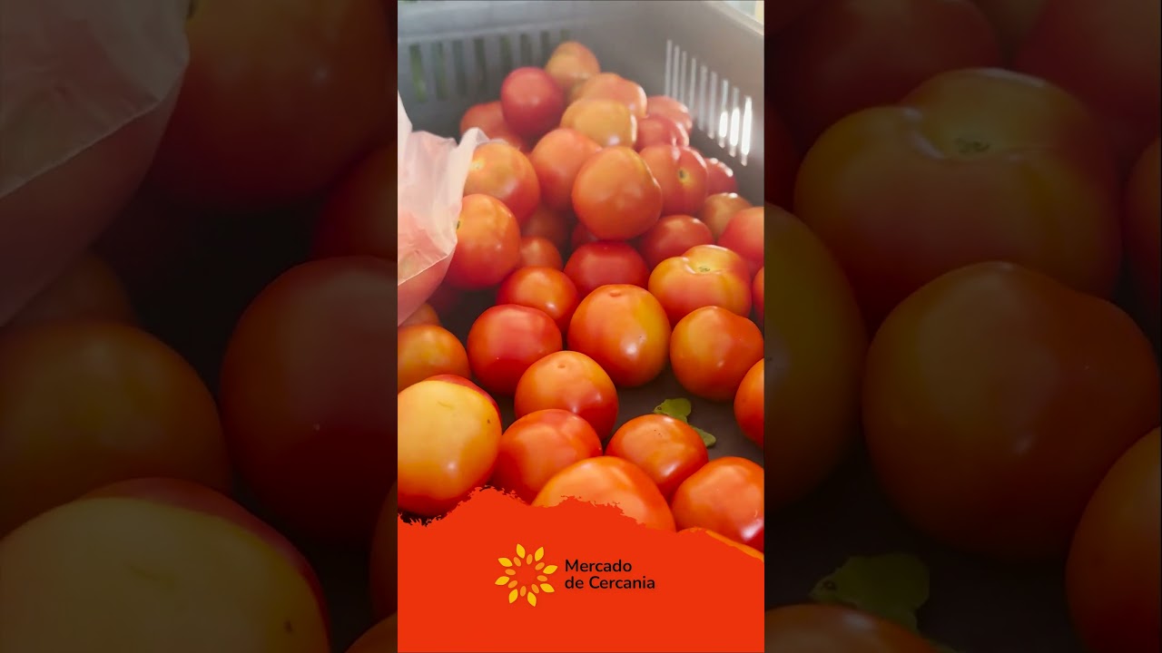 Sabor y nutrici&oacute;n fresca, &iexcl;De la Tierra a tu Mesa!