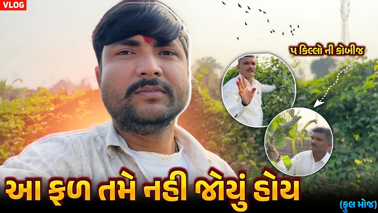 આફળ તમે નહીં જોયું હોય //Lalbha #gujarativlog #gujaraticomedi #dailyvlog 