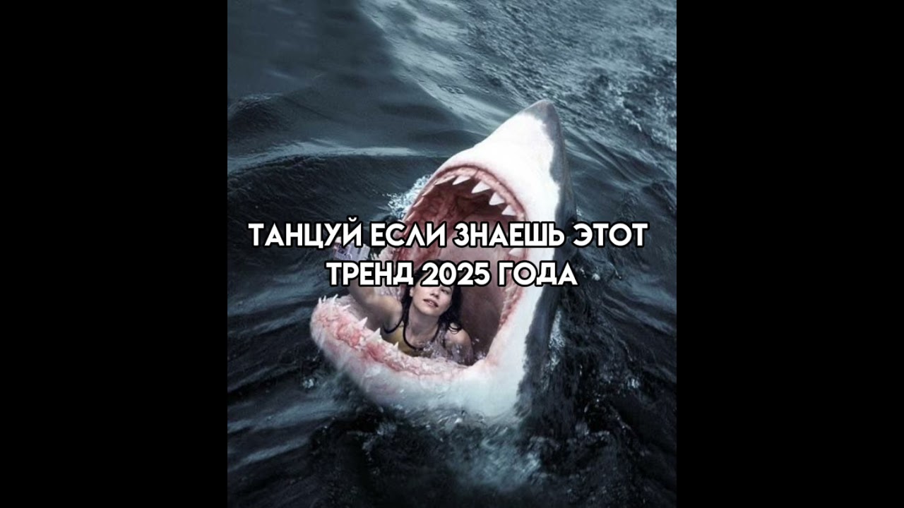 14 августа 2025 г.