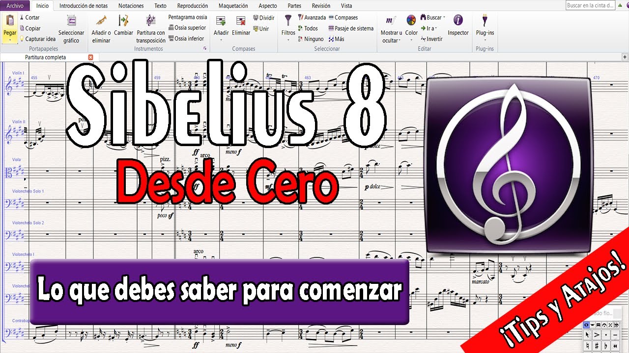 Tutorial SIBELIUS 8 | DESDE CERO | TIPS Y ATAJOS!🎶