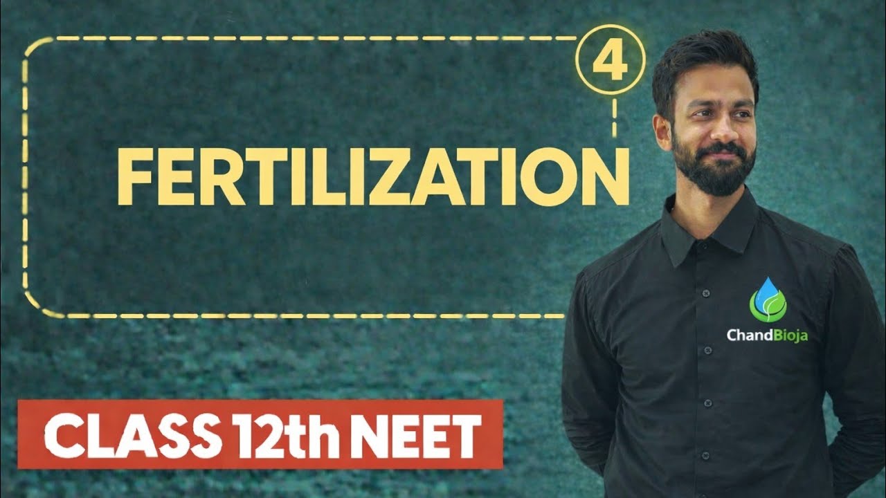 Sexual reproduction in flowering plants|  Fertilization(P:4) | NEET | 2026 |By Chandan Sir