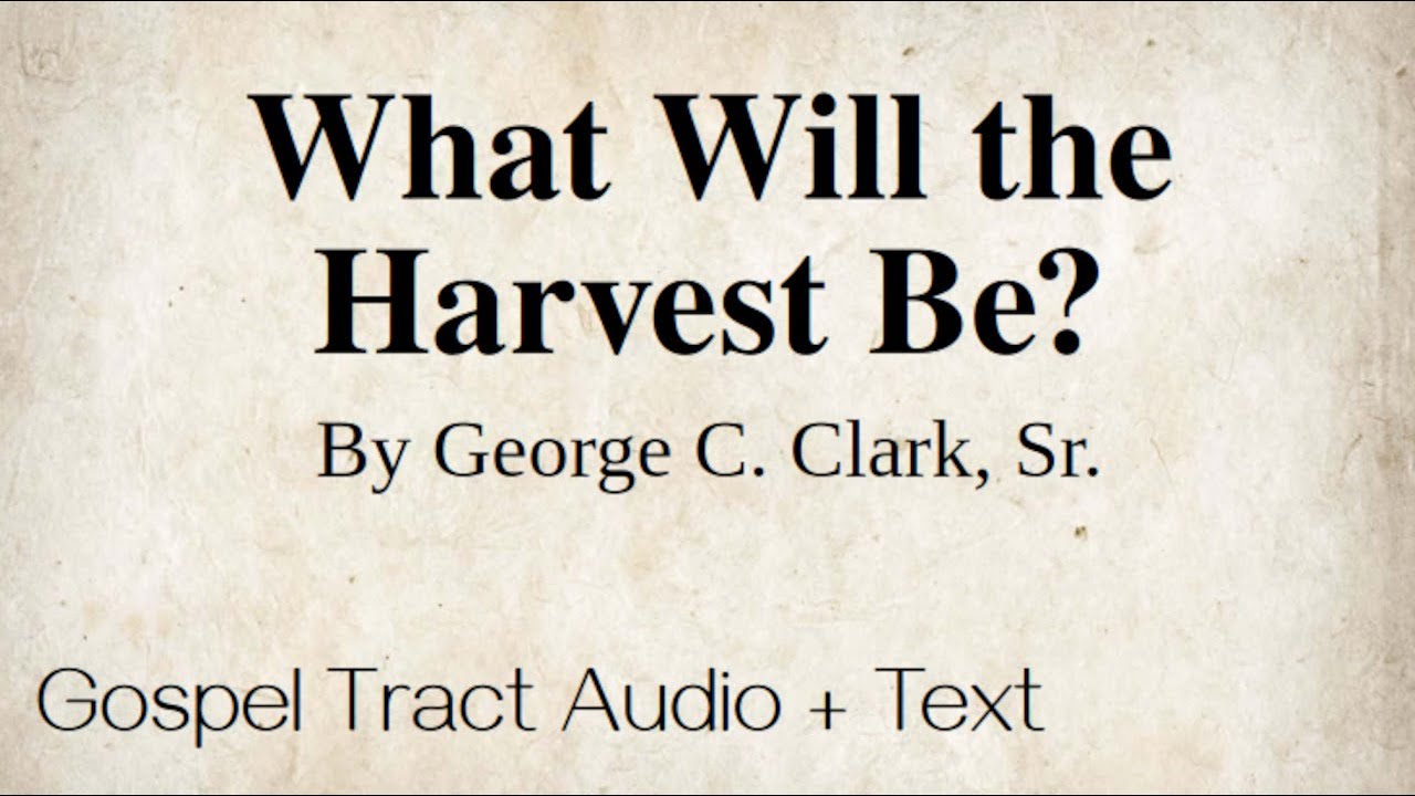 What Will the Harvest Be? | Gospel Tract Audio & Text