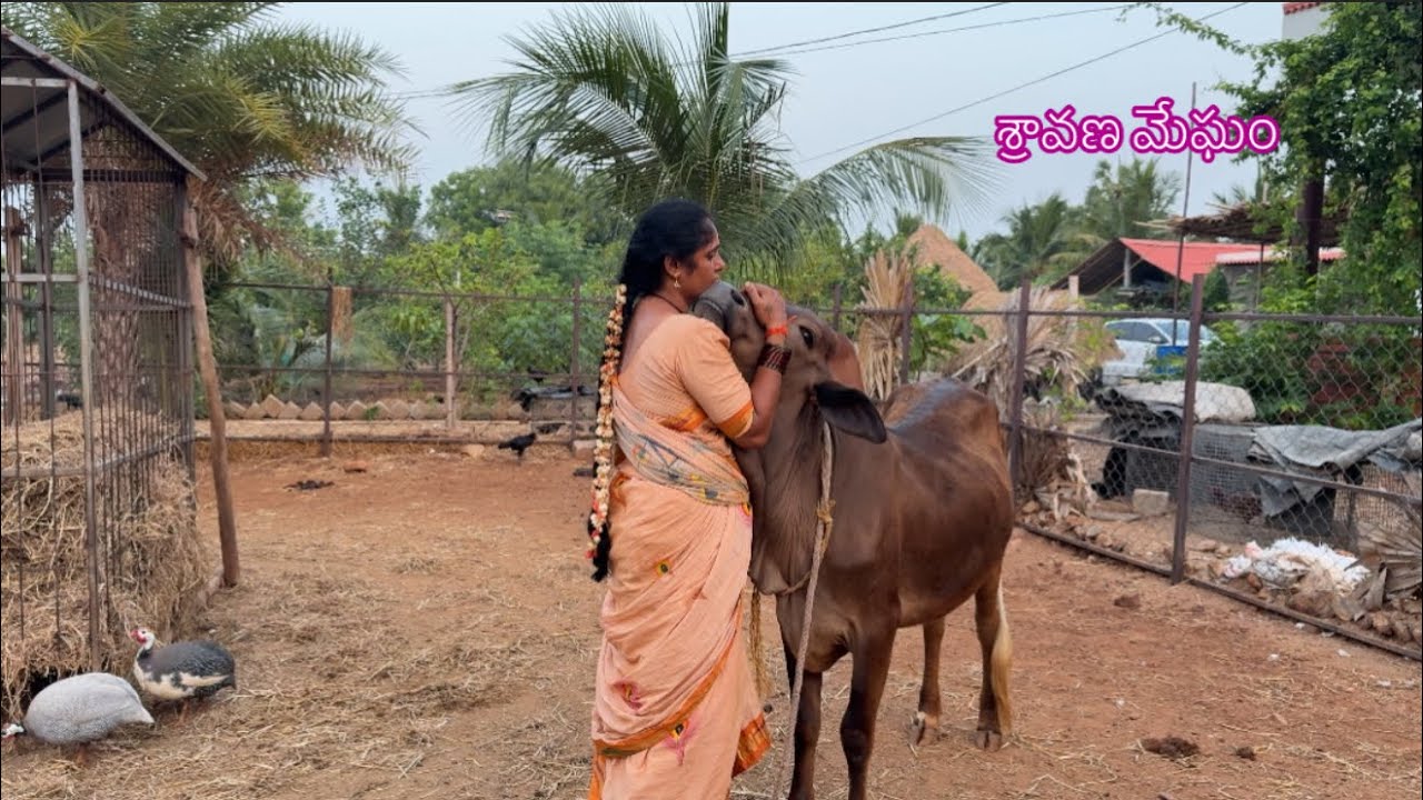 ఈ మధ్య తత్వం బోధపడుతుంది @sravanamegham
