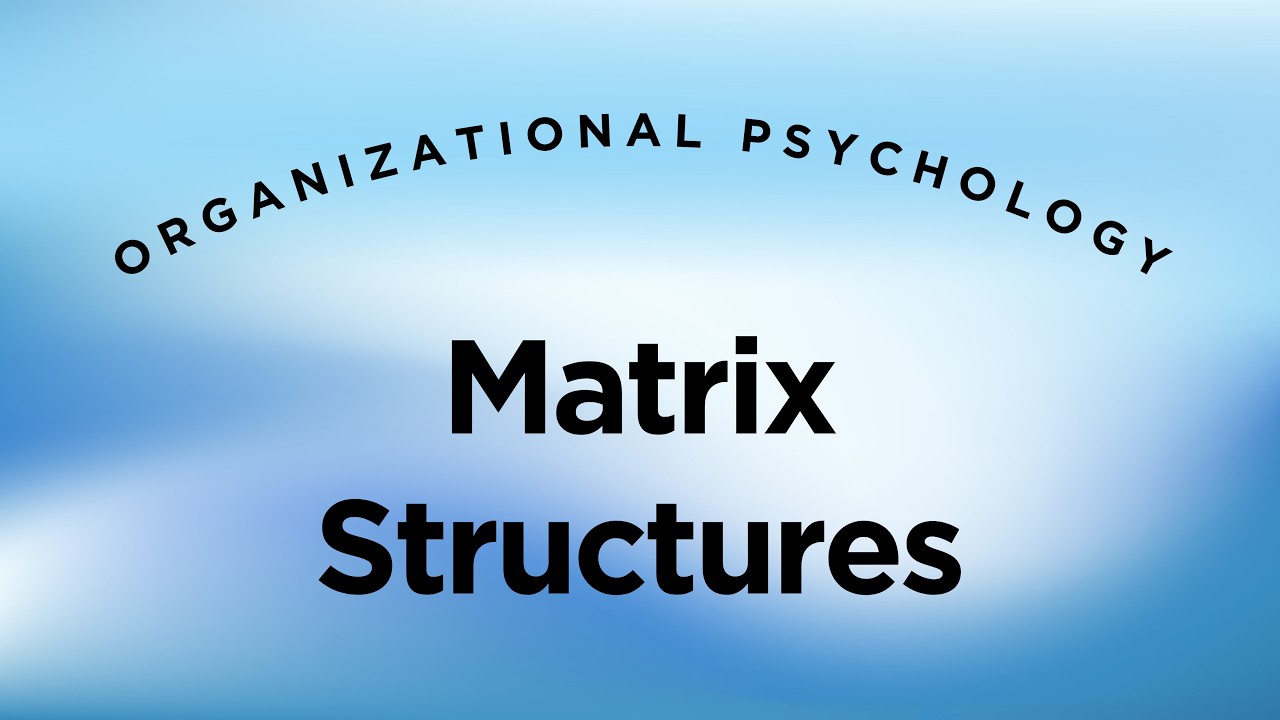 Matrix Structures - Organizational Psychology Lecture 16 Part 11