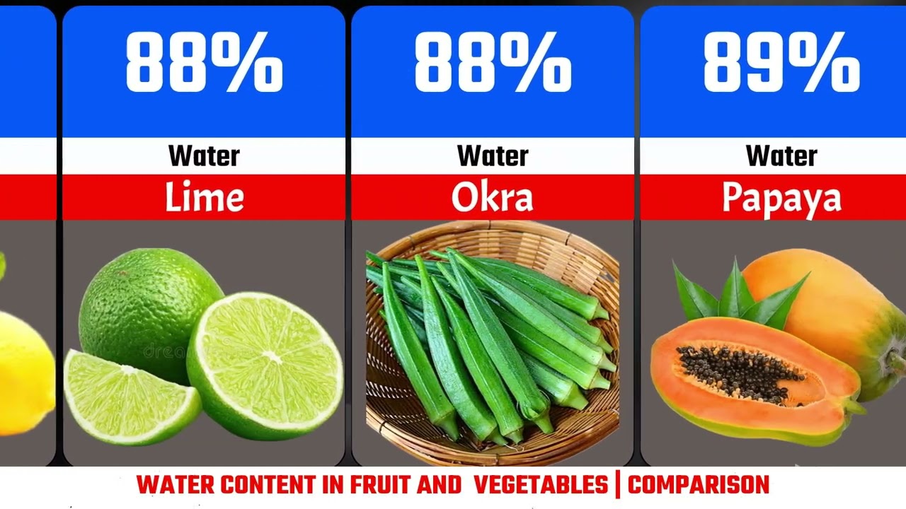 WATER CONTENT IN FRUIT AND VEGETABLE | COMPARISON